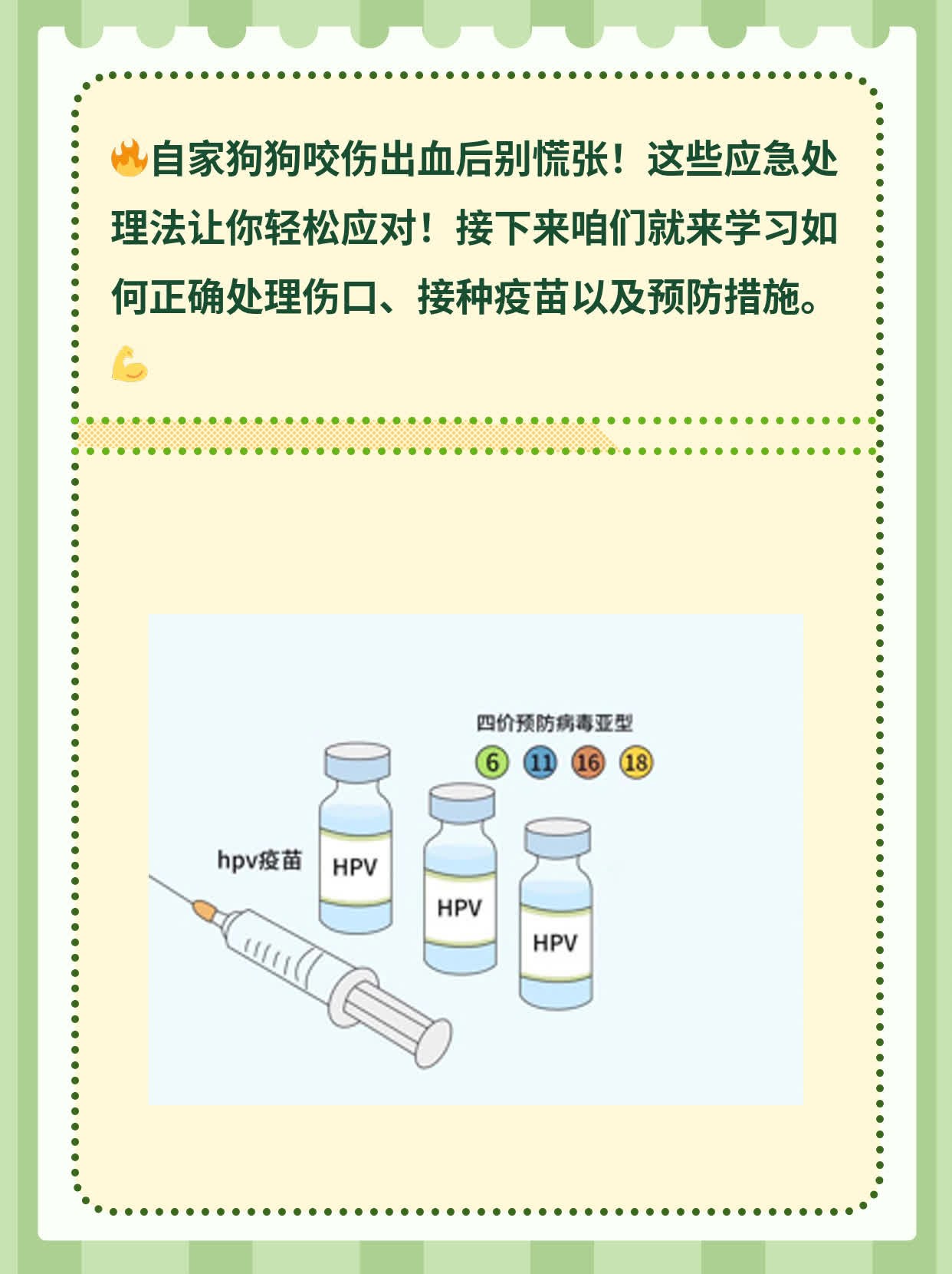 「有图有真相」：自家狗狗咬伤出血后的应急处理法