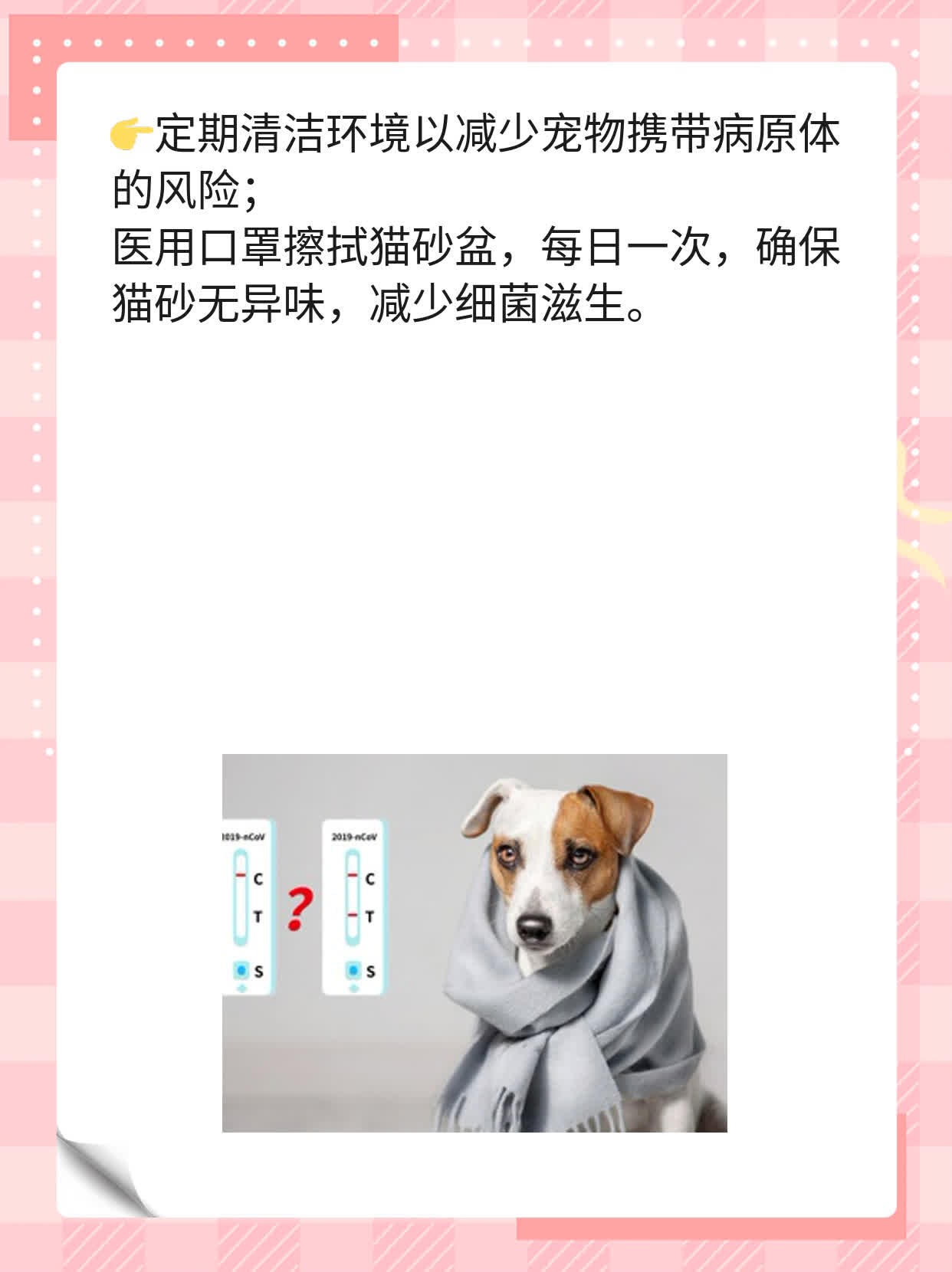 被自家猫咪咬伤需打狂犬疫苗吗？