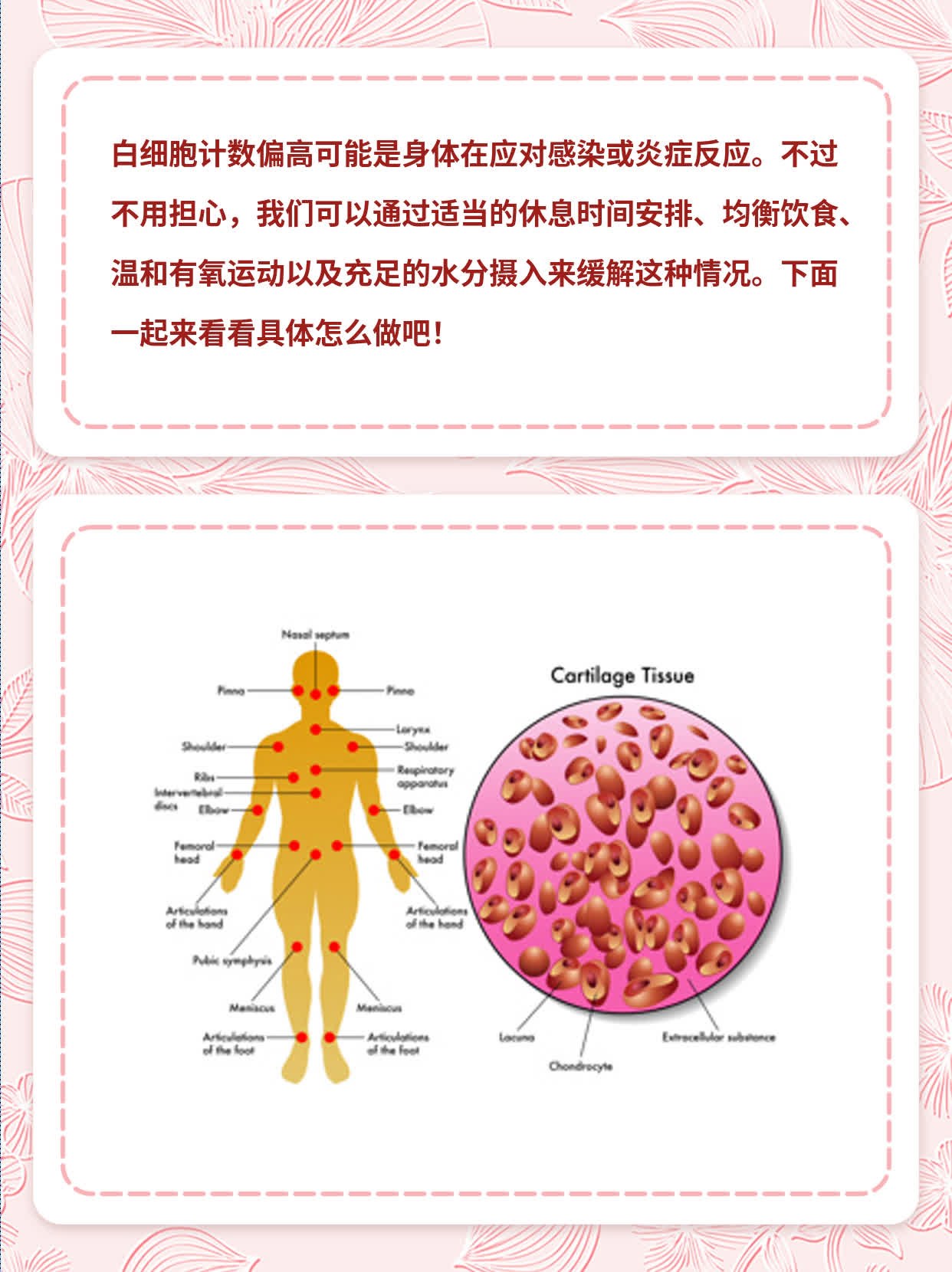 揭秘：白细胞计数偏高的原因！