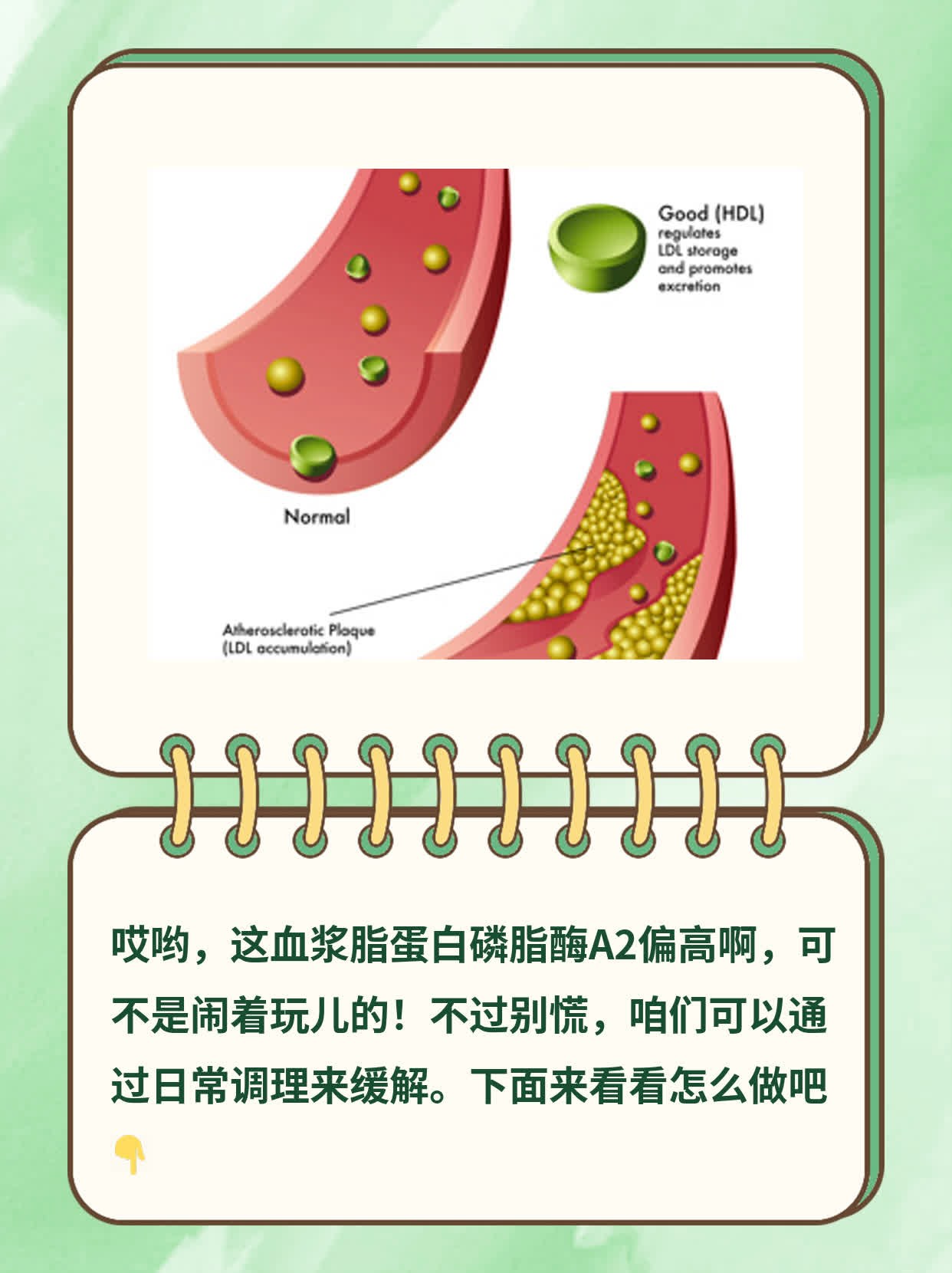 揭秘血浆脂蛋白磷脂酶A2偏高的真相！