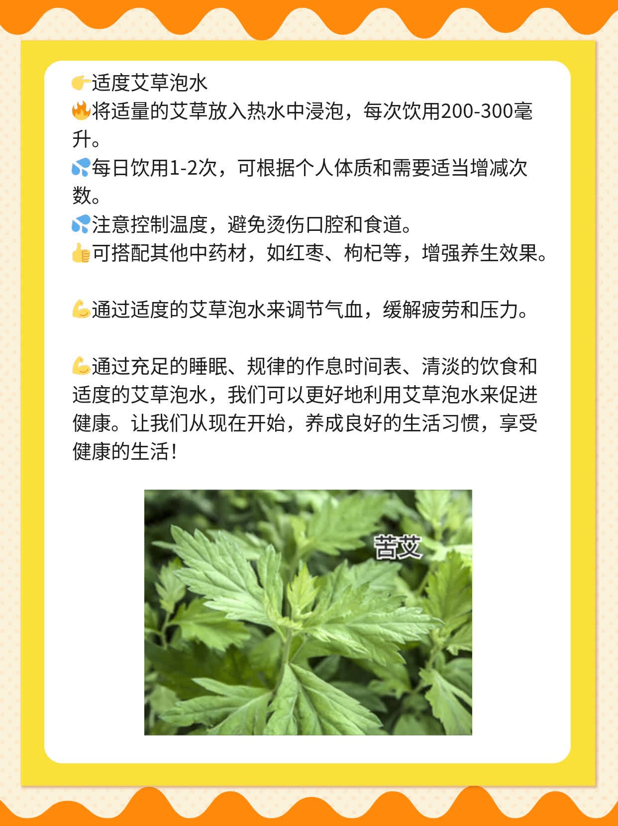 艾草泡水：功效、作用及禁忌
