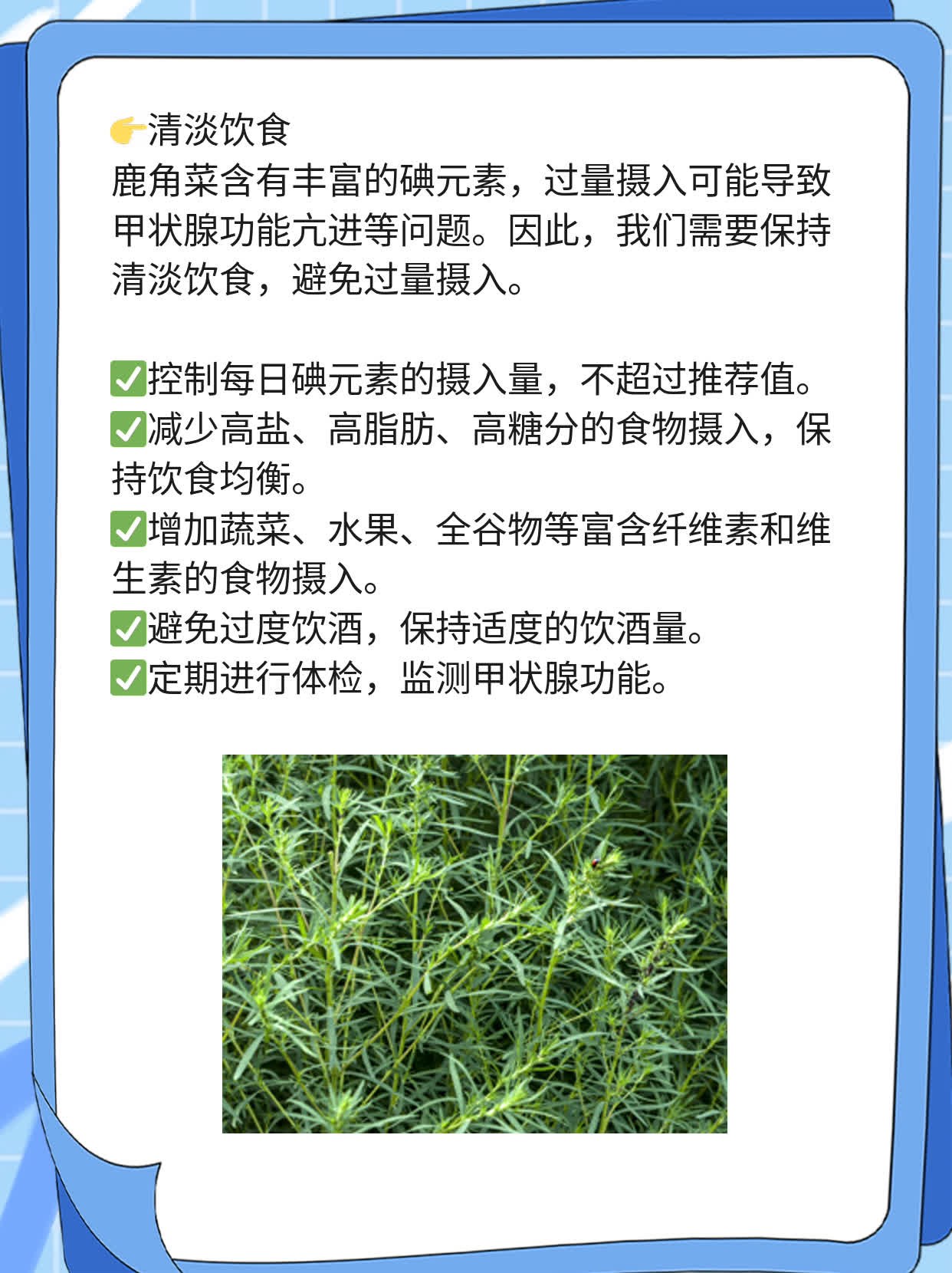 「揭秘」鹿角菜的妙用法门