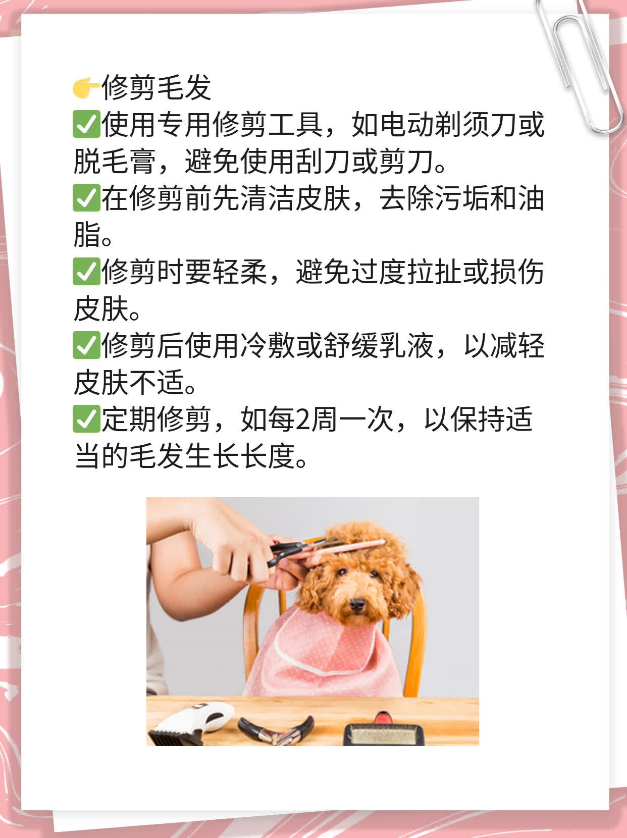 「揭秘背后原因」：雄激素过多导致背部多毛