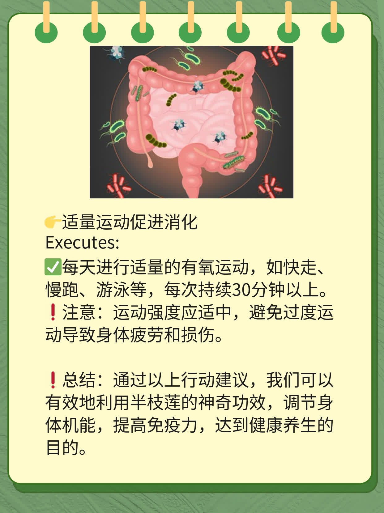 探索半枝莲的神奇功效！一份全面的经验分享