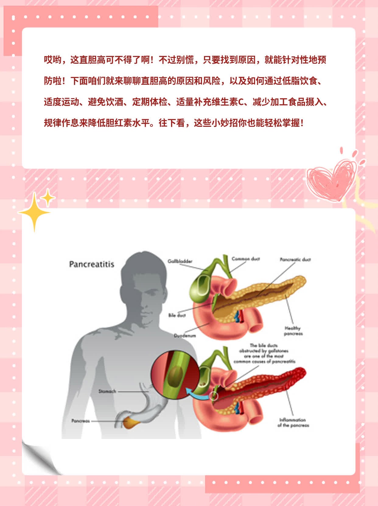 总胆红素偏高的原因图片