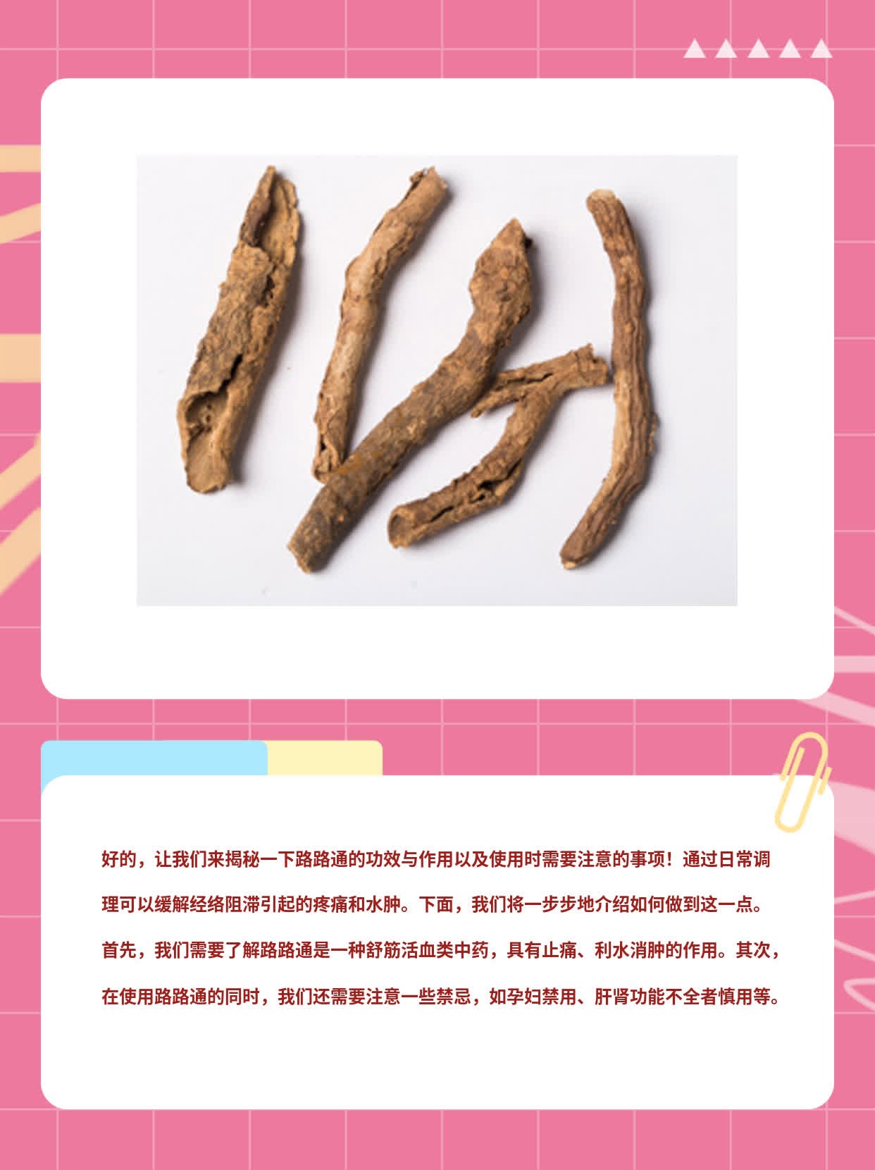「揭秘」路路通：解经止痛利水消肿，这些禁忌要注意！