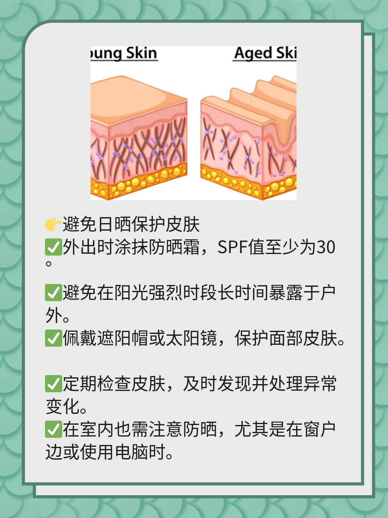 「排黄秘籍」：中药祛除黄褐斑的妙方