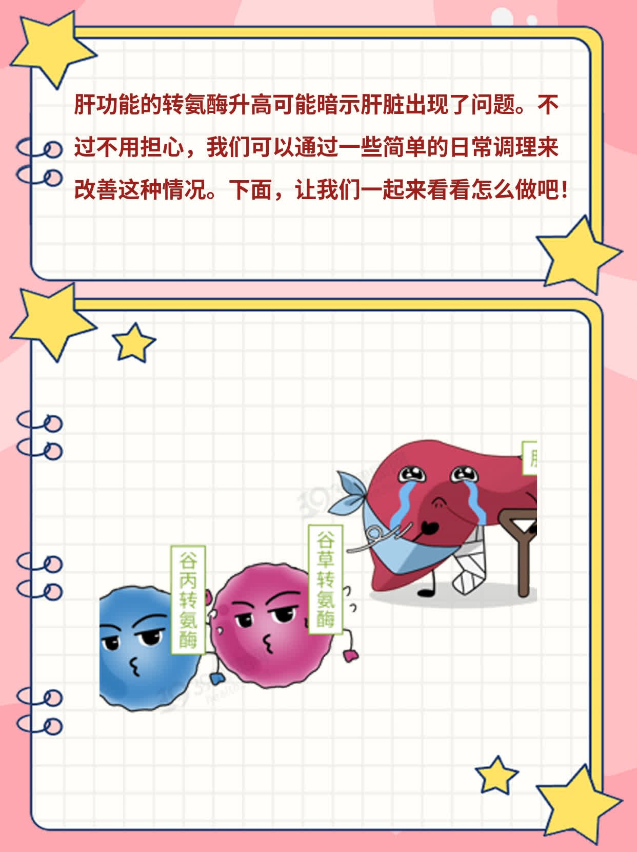 揭秘：转氨酶升高暗示肝脏问题！