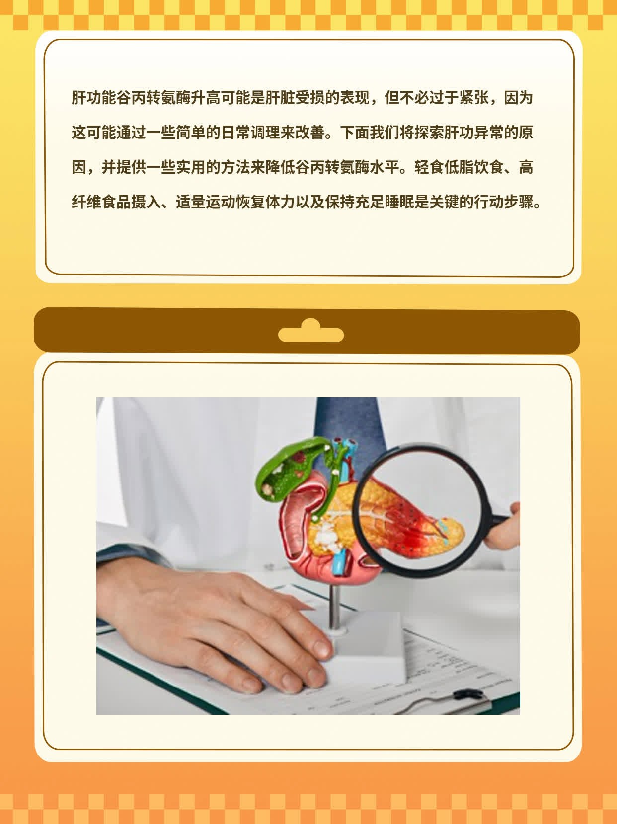 「解码」肝功异常：谷丙转氨酶升高的原因探秘