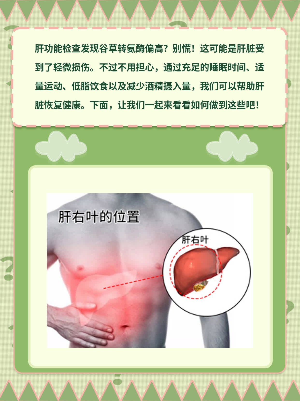 探寻肝区不适背后的罪魁祸首：谷草转氨酶升高之谜