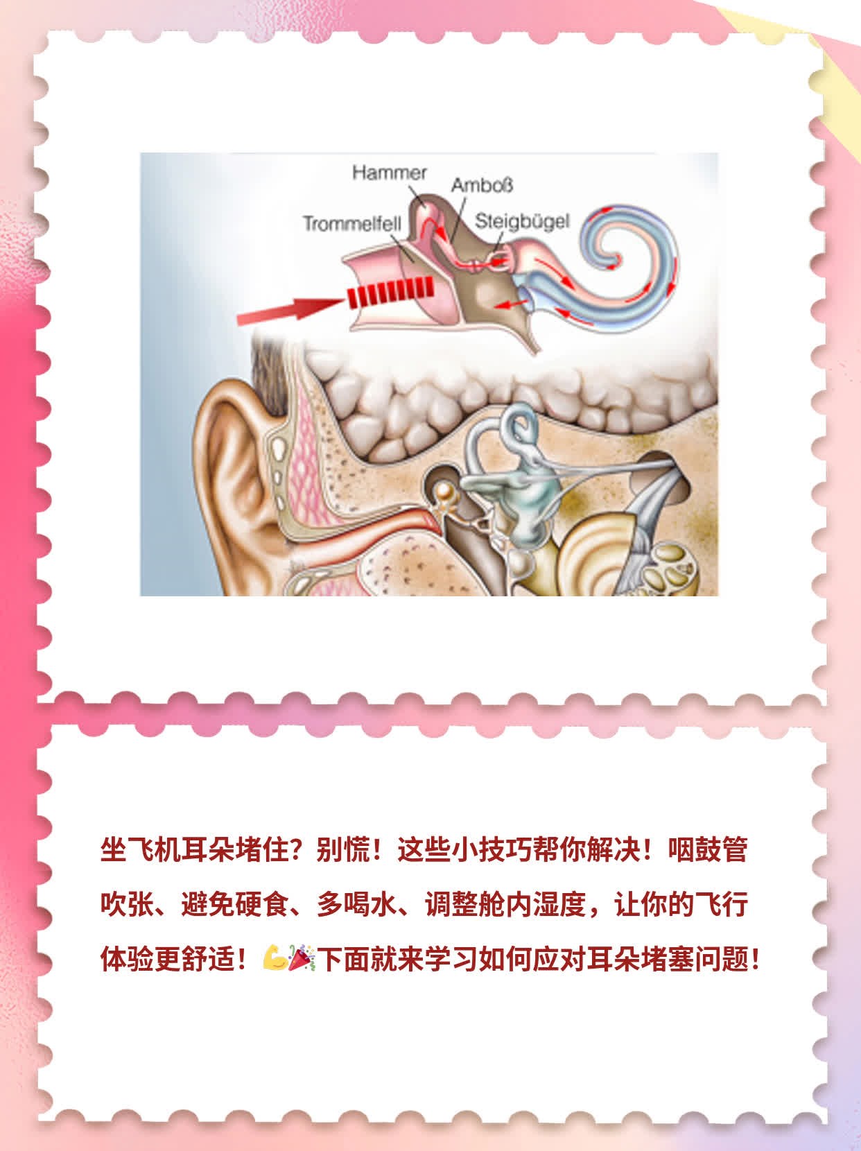 「耳朵堵住」在飞行时如何应对？