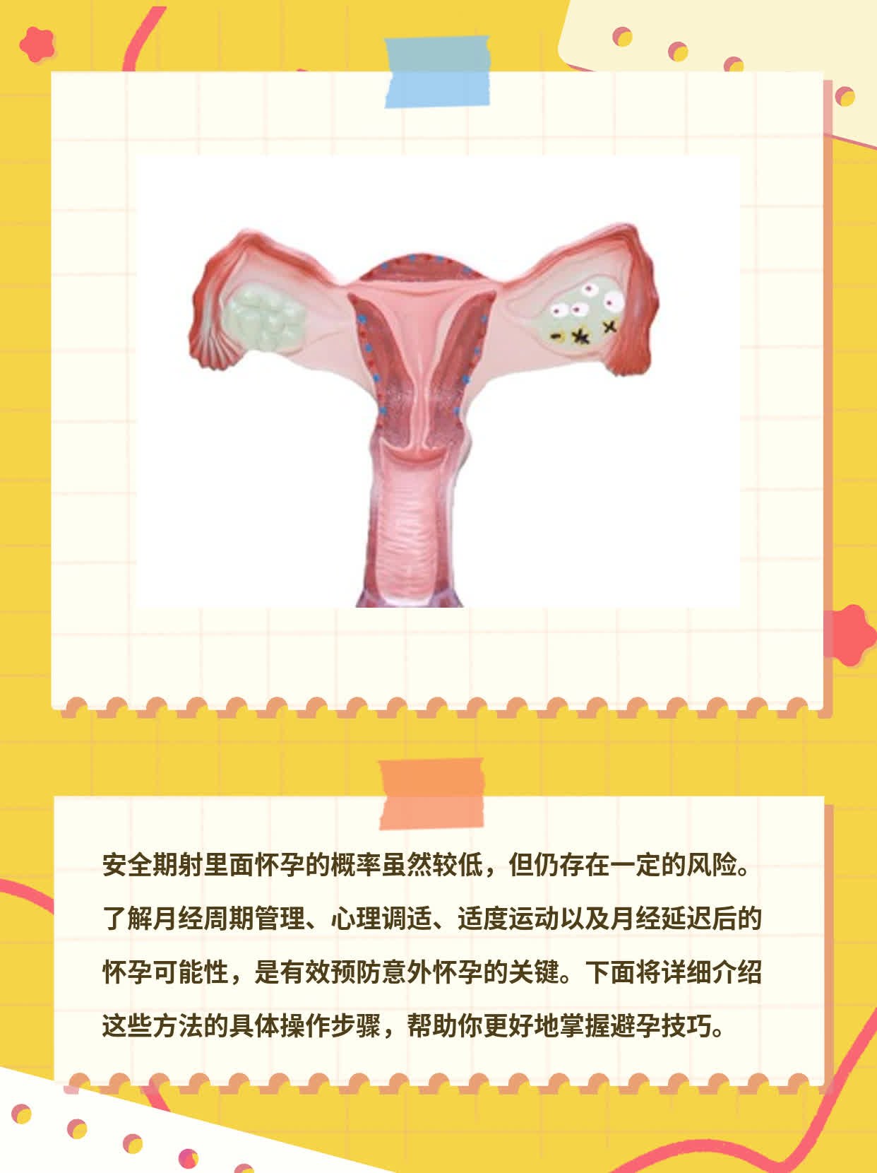 如何怀孕成功率高图片图片