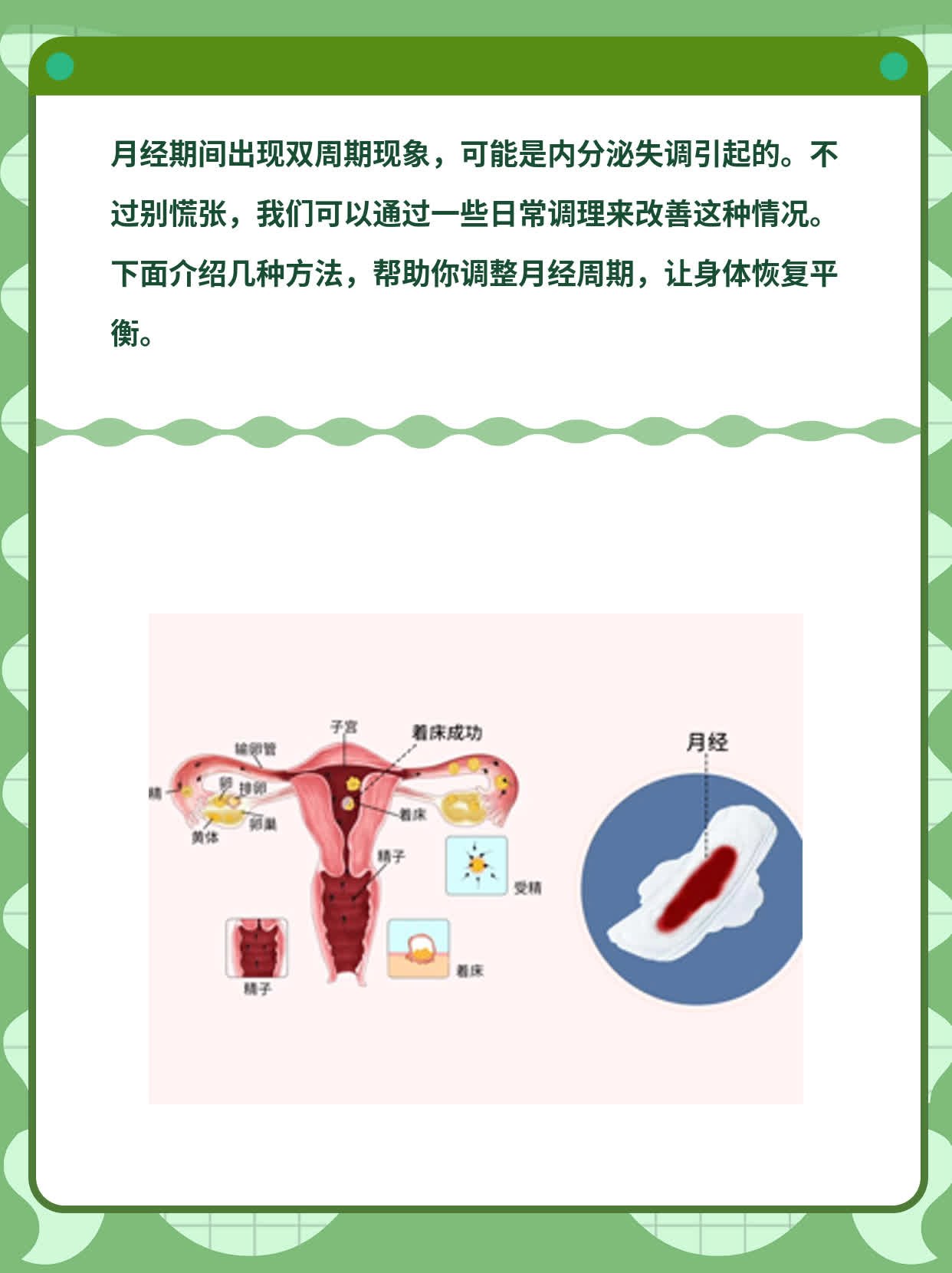 「月经」女人每月双飞？