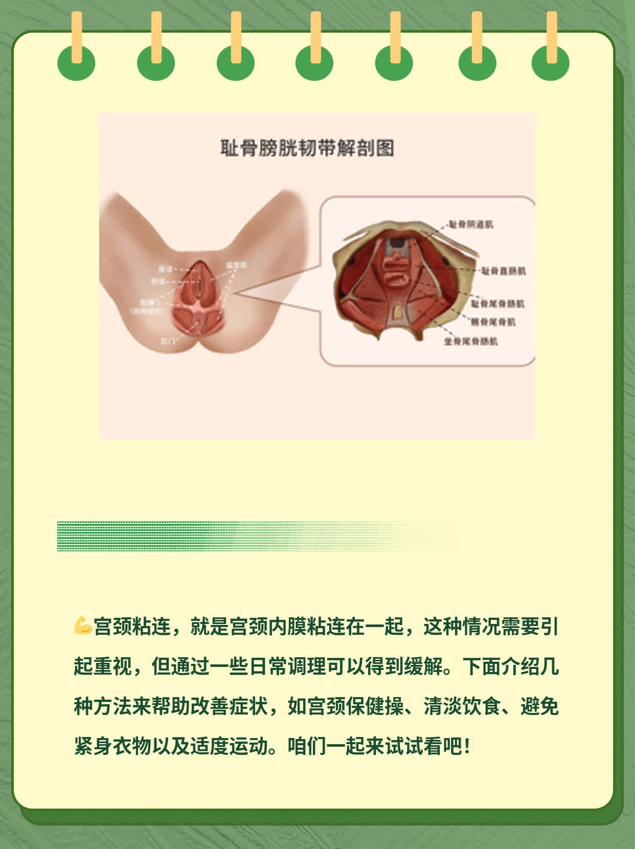 「宫颈粘连」你知道多少？解密原因及影响！