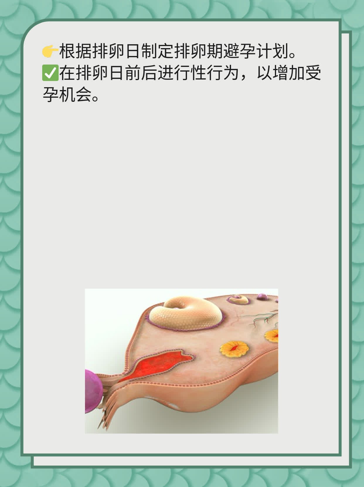 不孕症检查全攻略：女性必知！