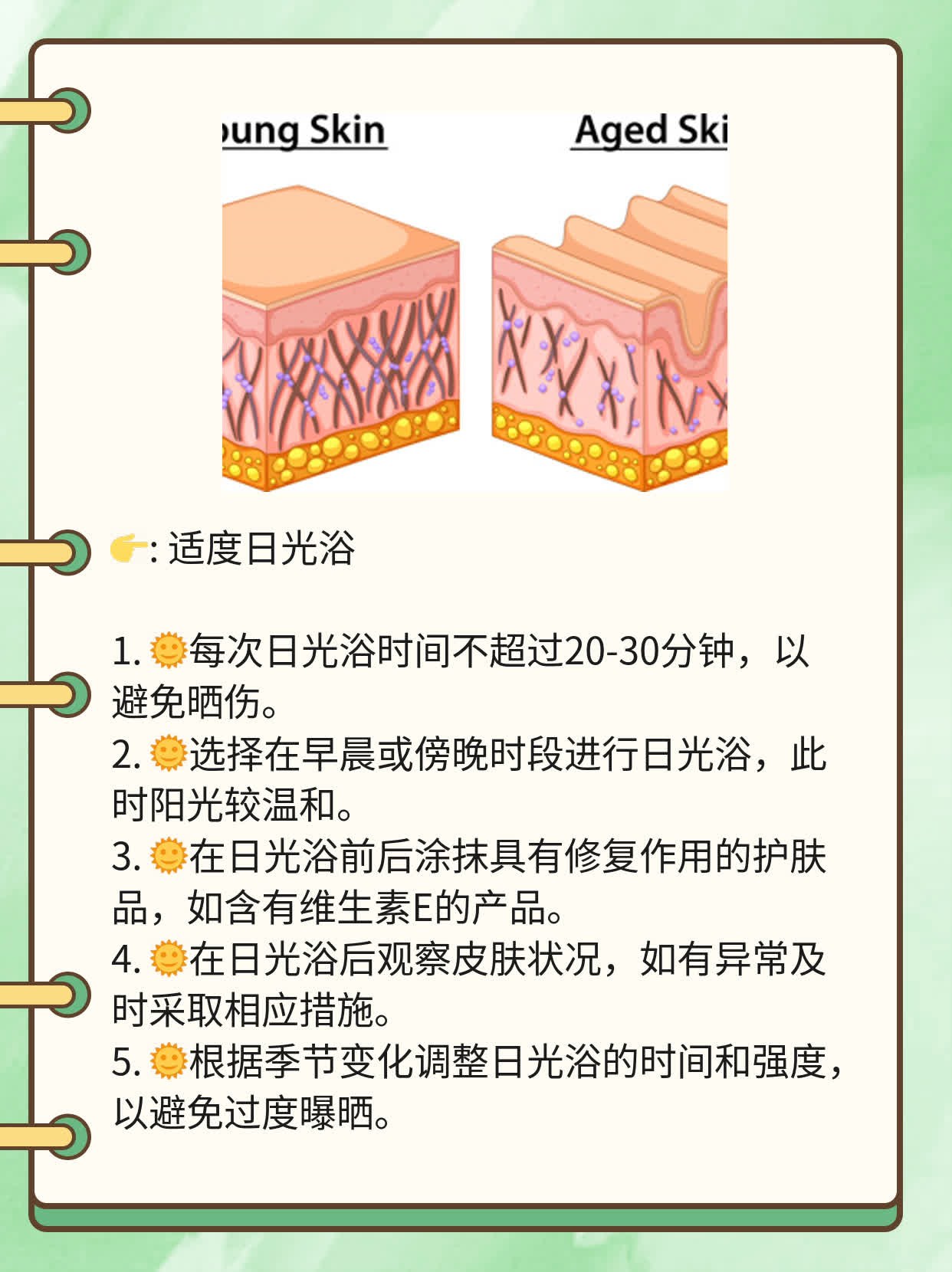 探秘色素之谜：黑色素产生及功能解析