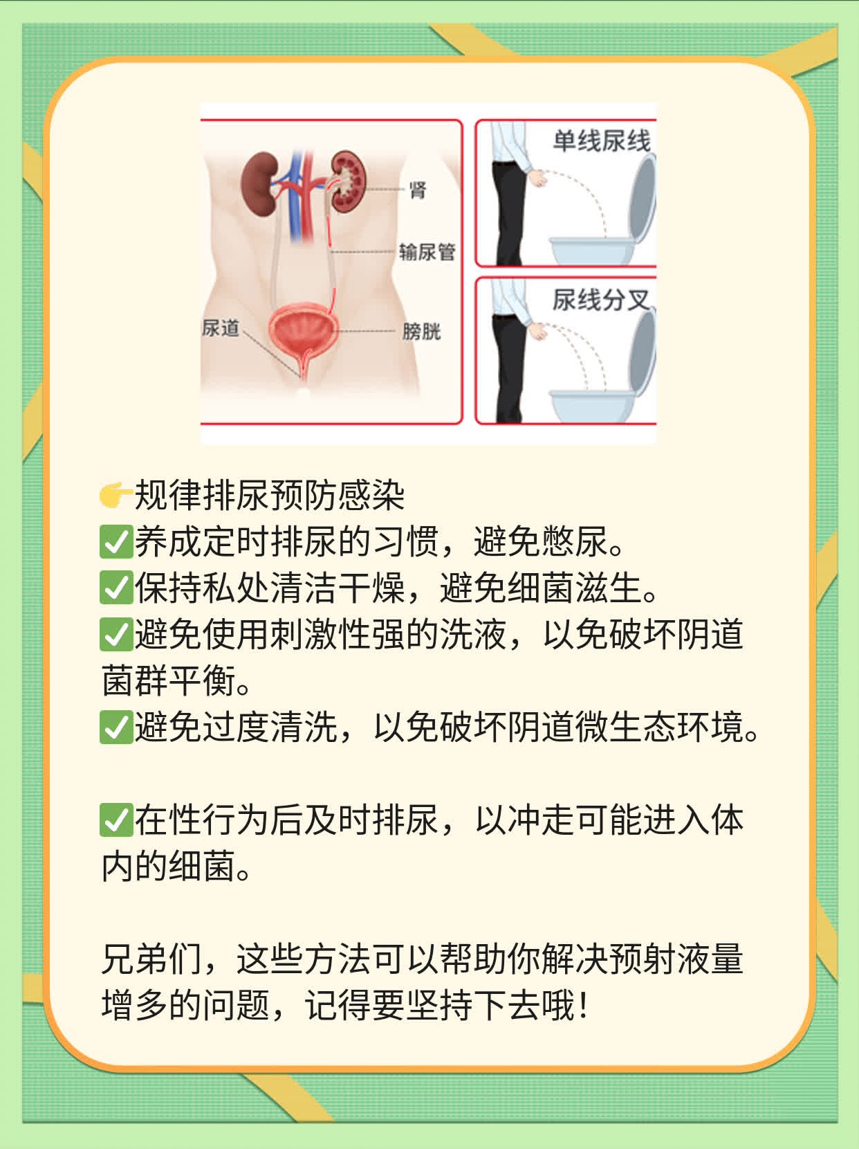 「答疑」射精前透明液体啥来头？