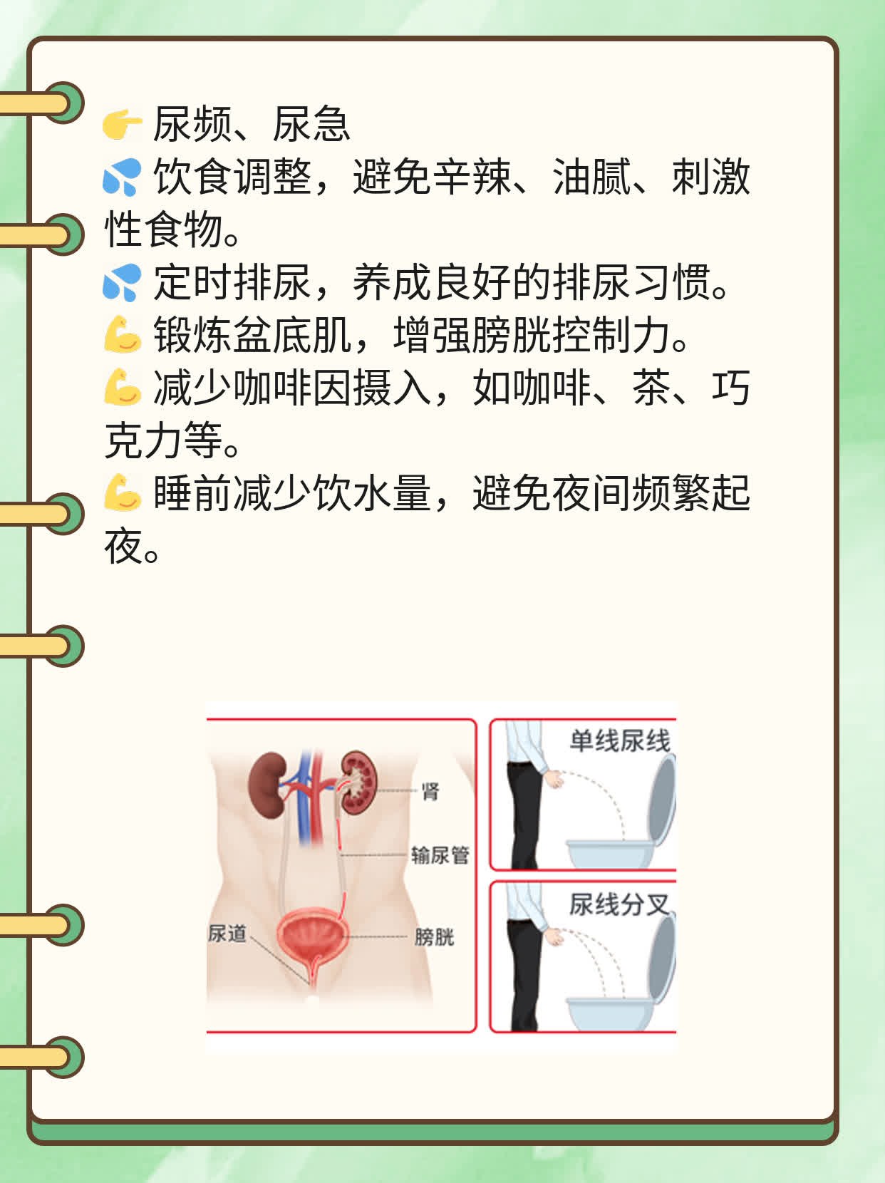 「尿常规化验单NEG」初探：NEG值解读及临床意义