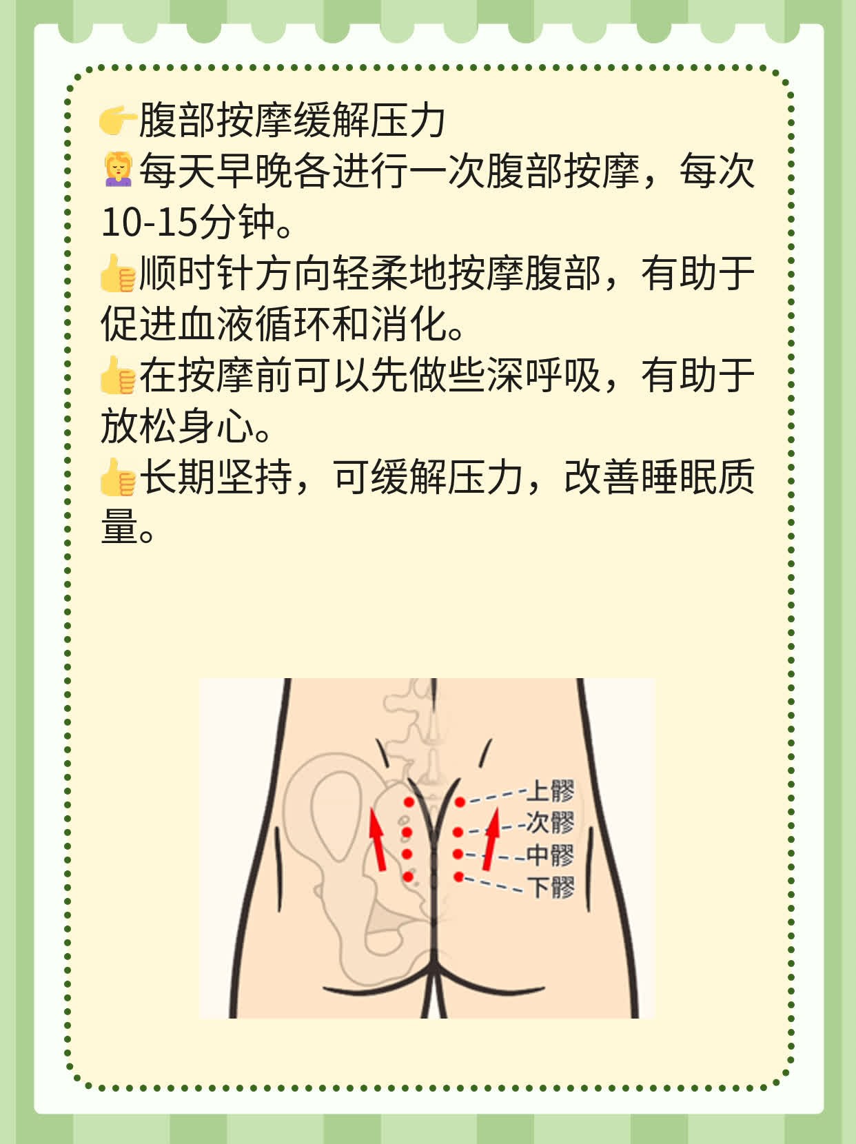 「解剖学探秘」：探索左侧下方肋骨内的神秘器官！