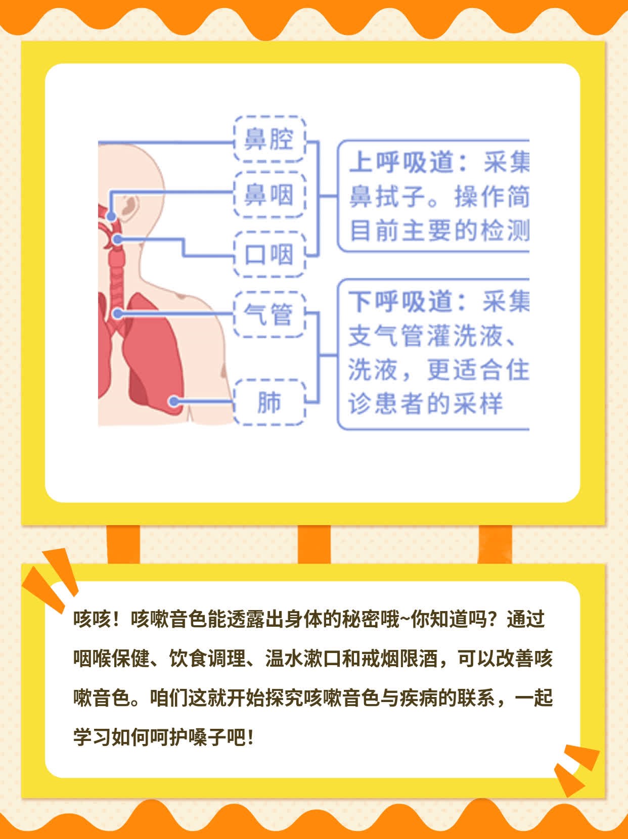 「咳嗽声音透露了什么？」：探究咳嗽音色与疾病的联系