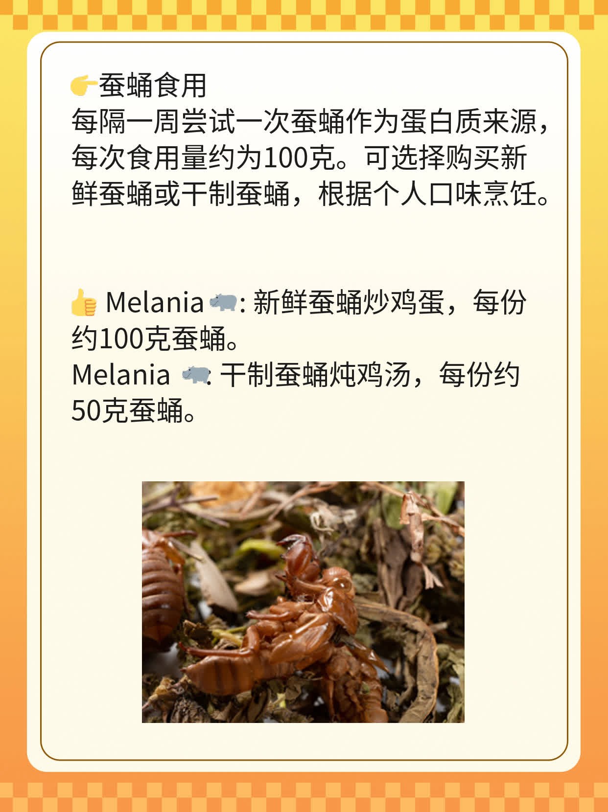 「探秘」蚕蛹：高营养低卡路里的天然宝藏！