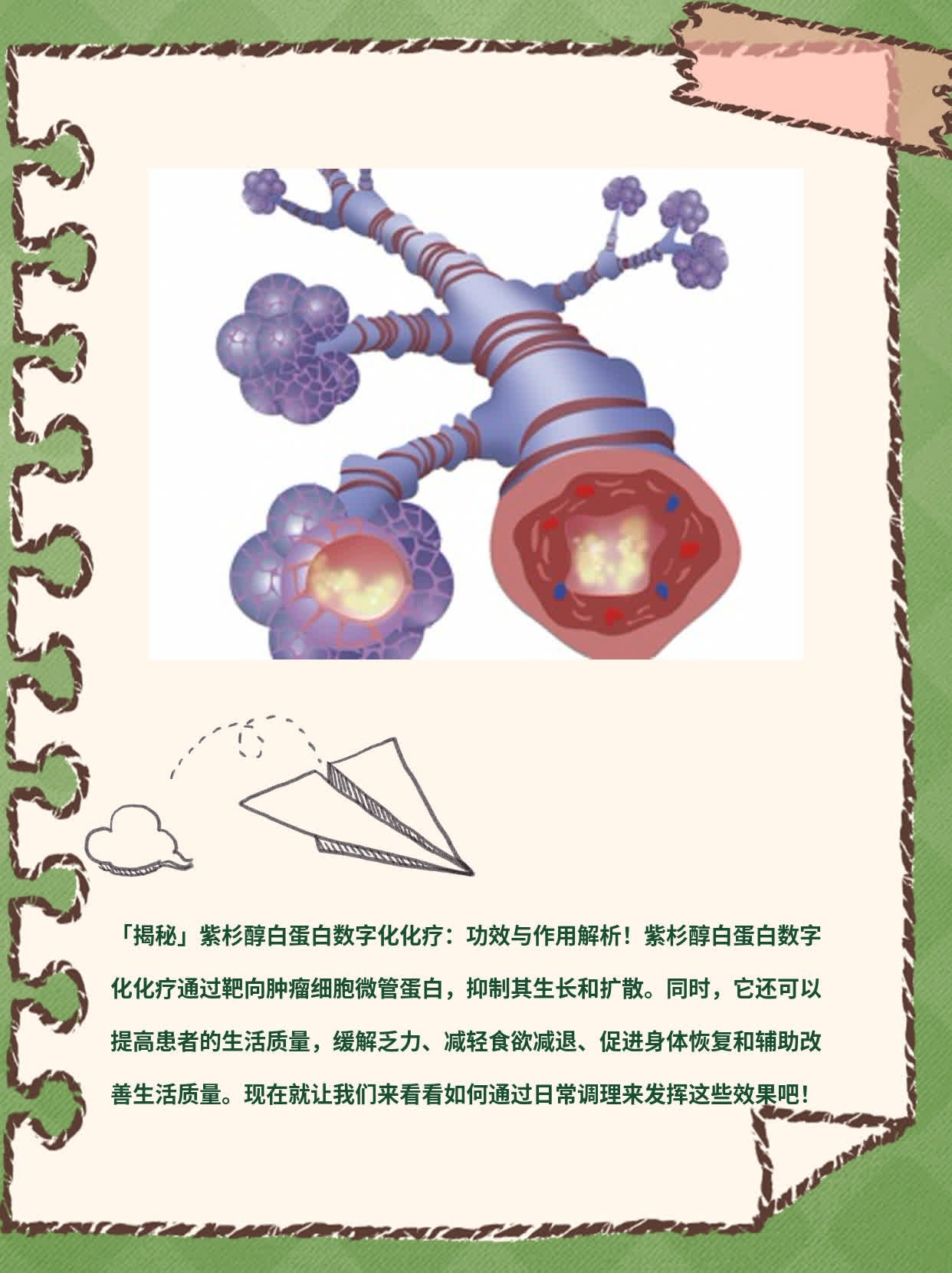 「揭秘」紫杉醇白蛋白数字化化疗：功效与作用解析