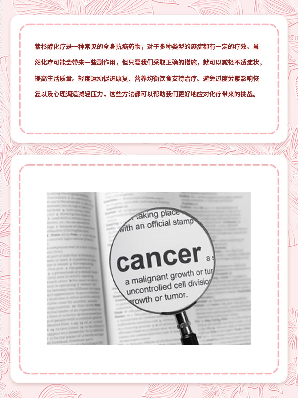 紫杉醇化疗：全身抗癌神器还是骗局？