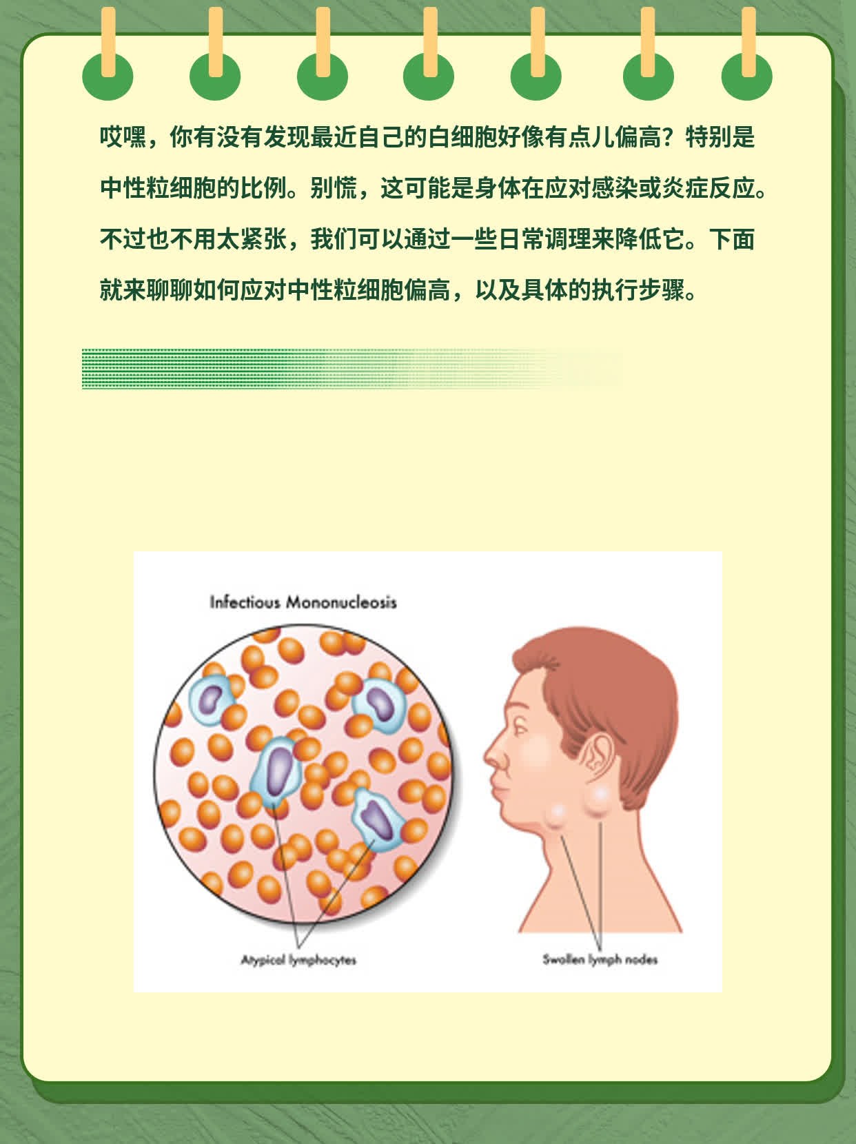 「中性粒细胞偏高」原因揭秘：如何应对？