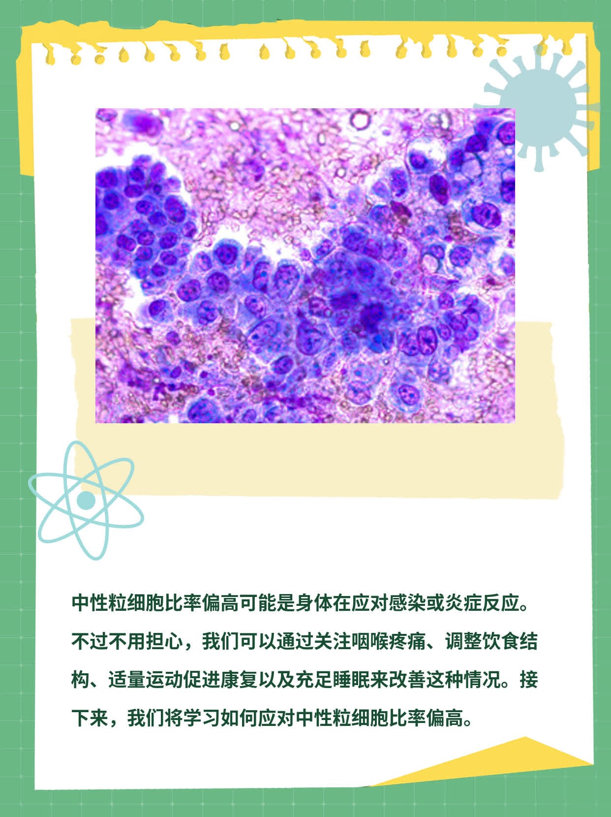 揭秘：中性粒细胞比率偏高的原因及处理方法