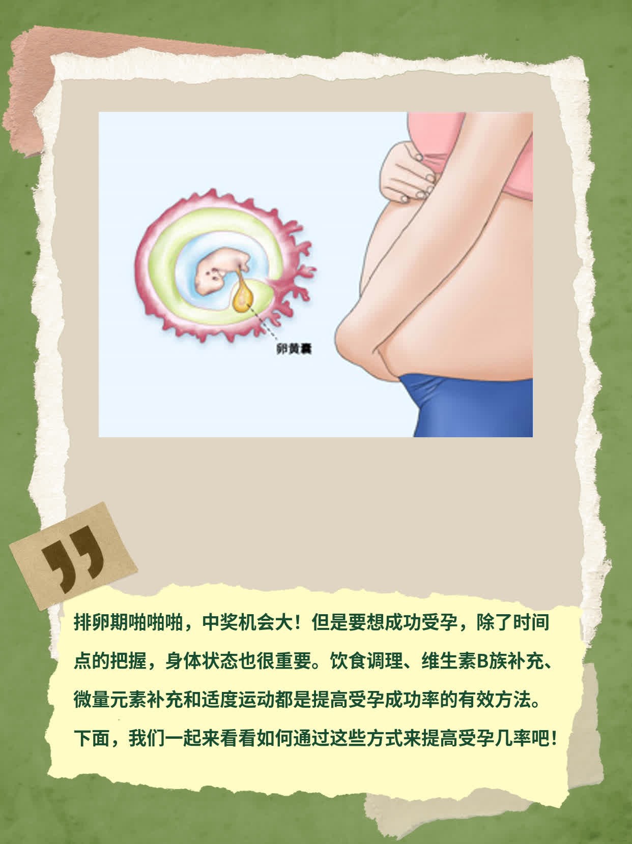 「排卵期啪啪啪」能中奖？