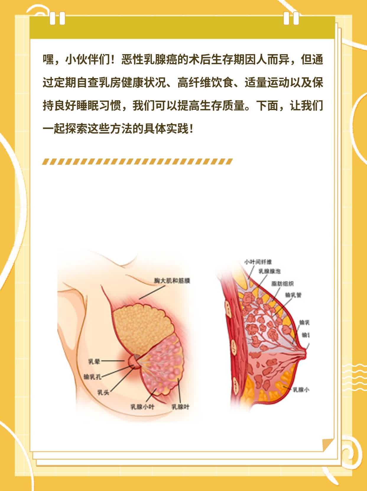 「经验分享」恶性乳腺癌术后生存期探秘
