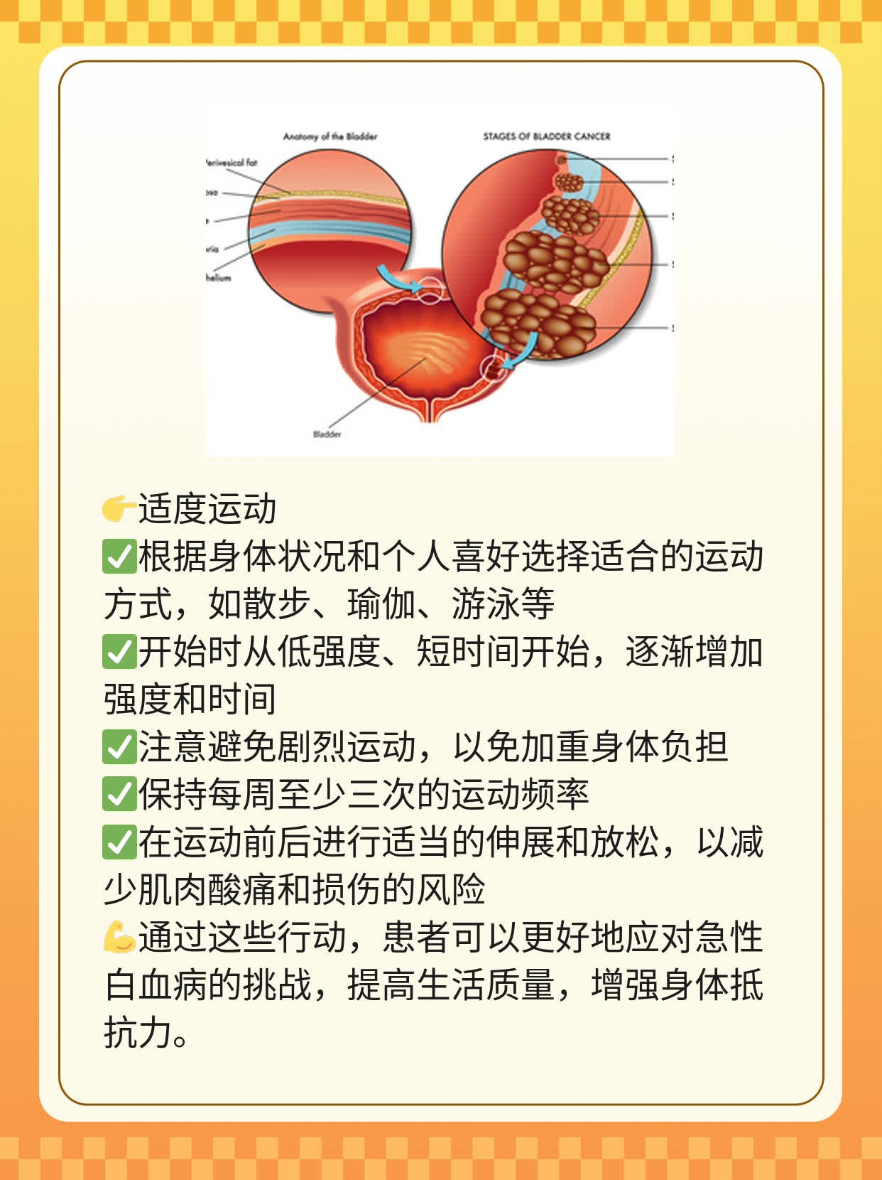 「经验分享」急性白血病治疗方案一览