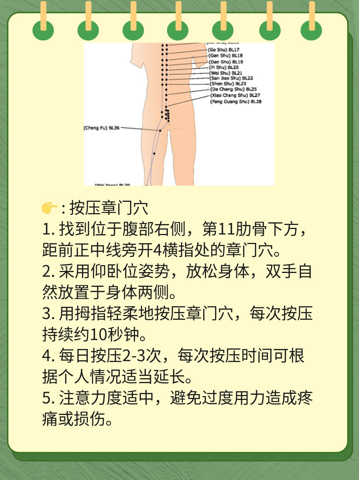 章门准确位置图图片