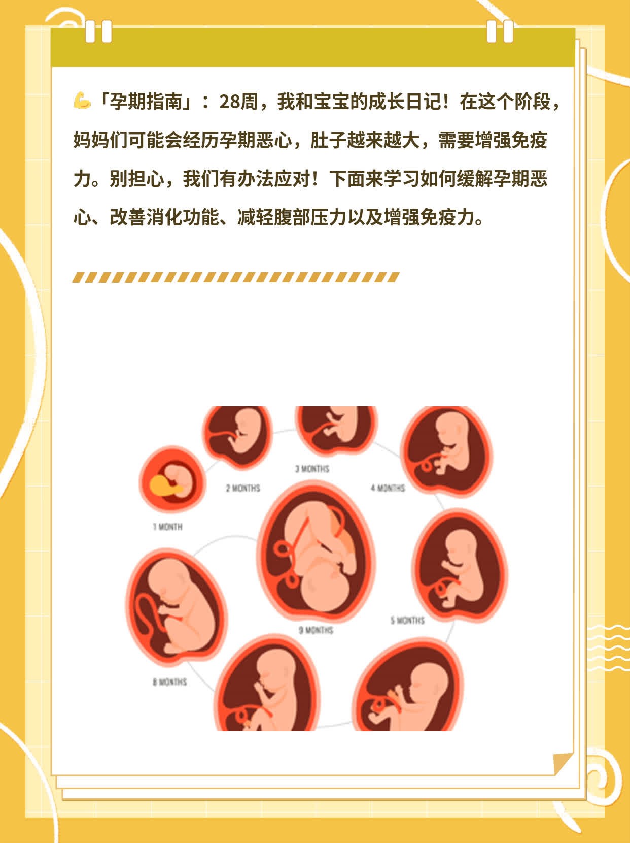 「孕期指南」：28周，我和宝宝的成长日记