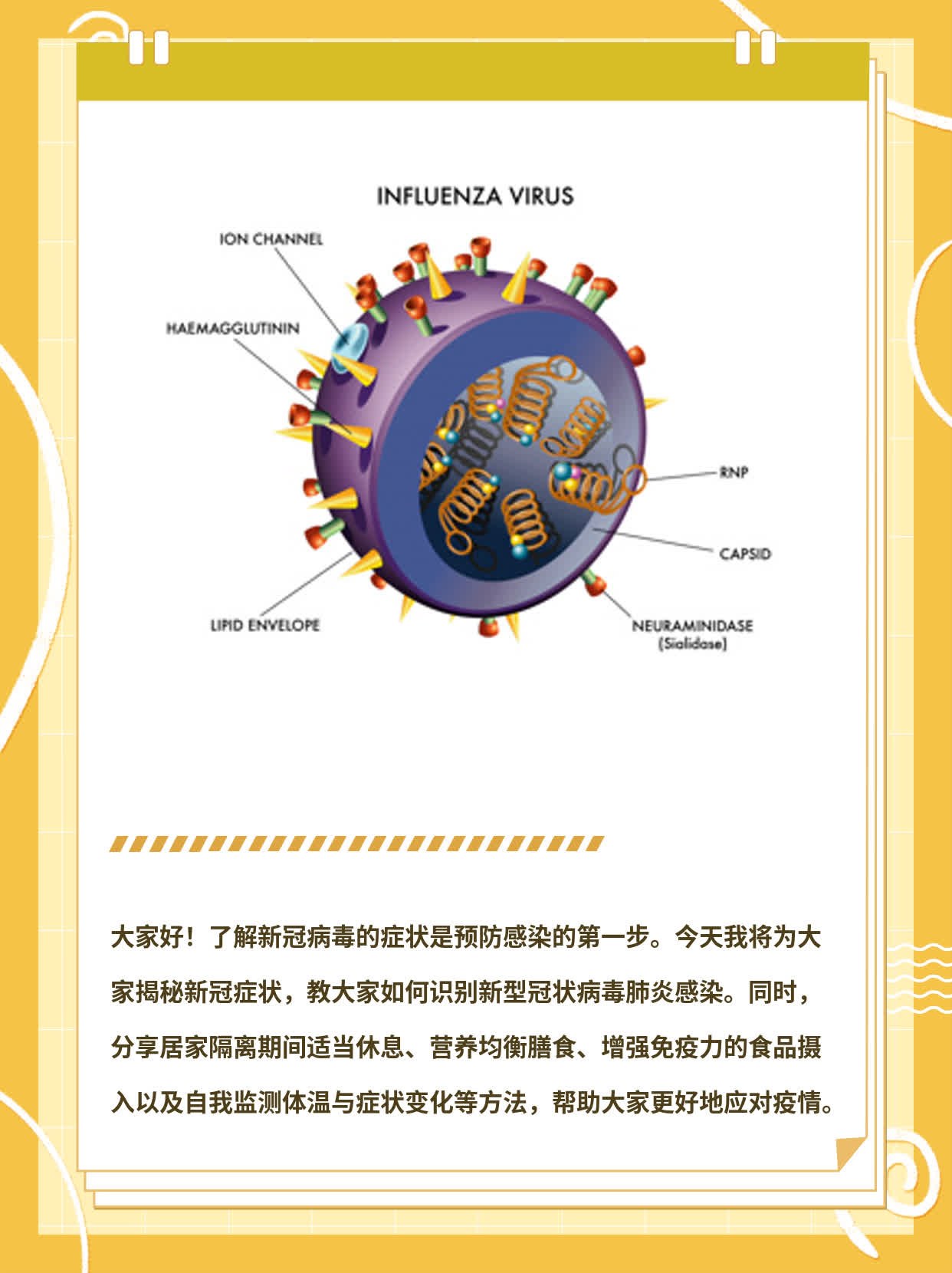 揭秘新冠症状：如何识别新型冠状病毒肺炎感染？