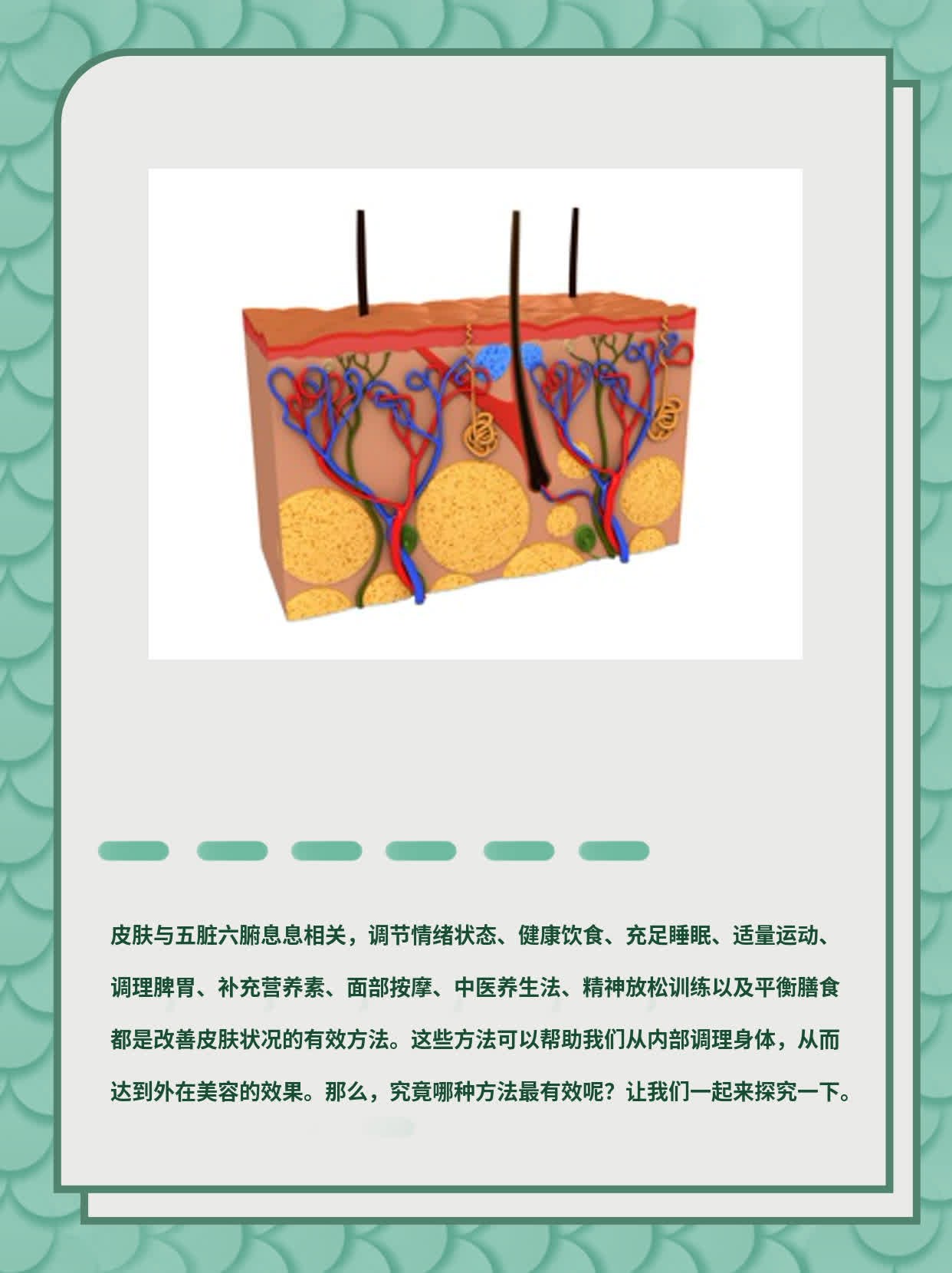 揭秘：皮肤与五脏六腑的关系大吗？