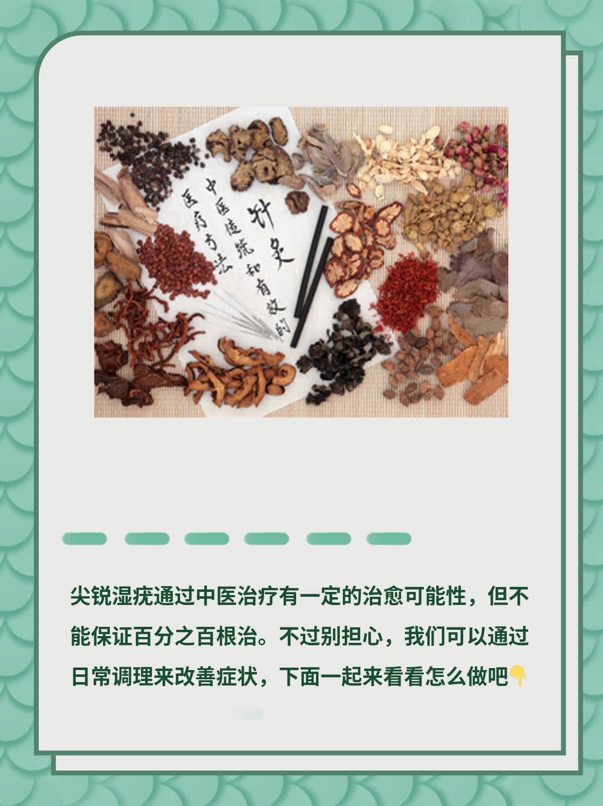 尖锐湿疣中医治愈可能性探讨