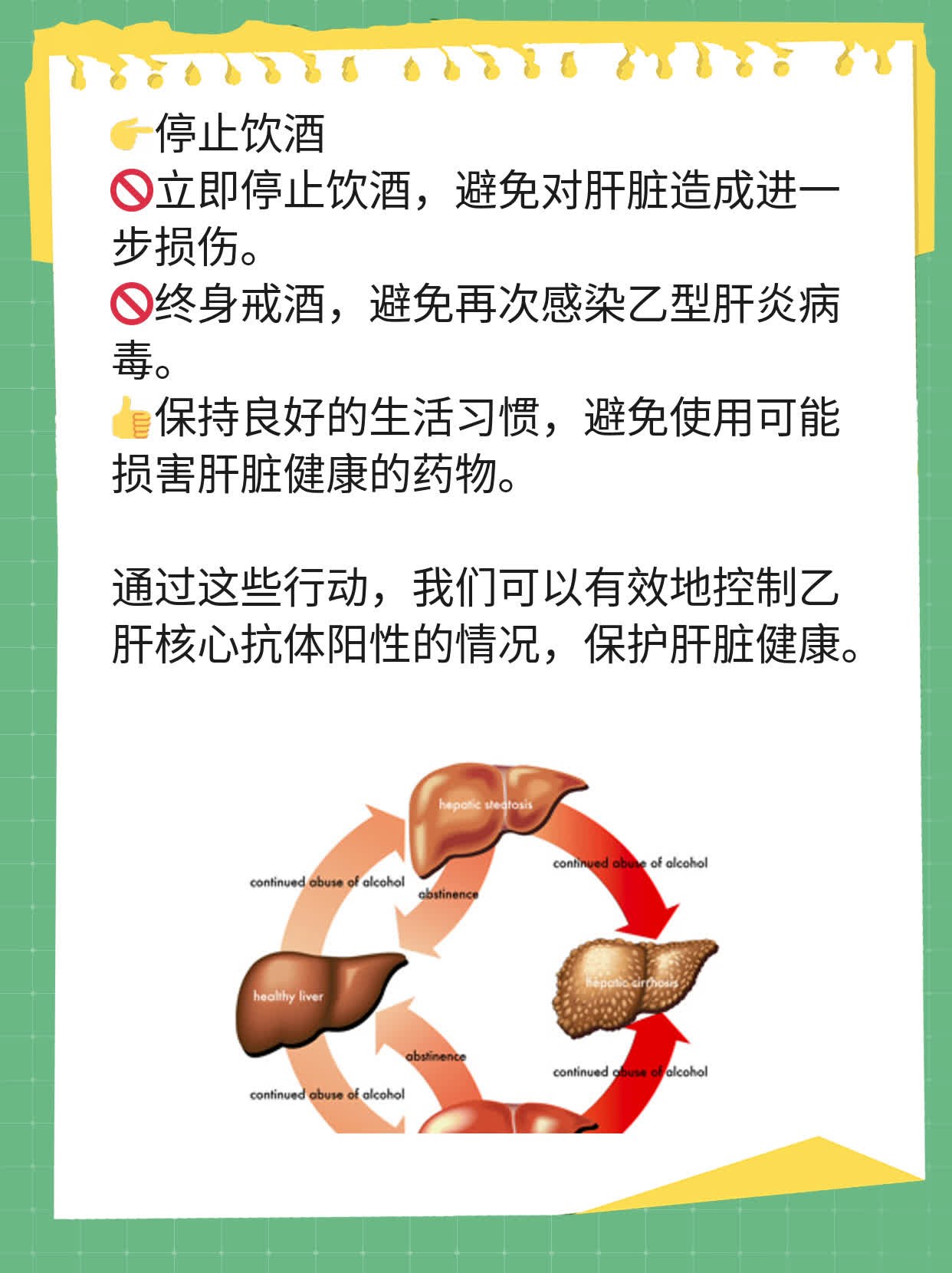 乙肝核心抗体阳性？解密检测结果！