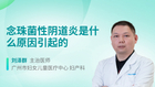念珠菌性阴道炎是什么原因引起的