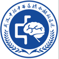 武汉中际中西医结合癫痫医院