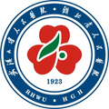 武汉大学人民医院