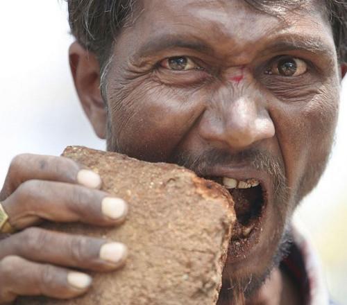 向医生提问异食癖别名:发病部位:并发疾病热门问答异食癖是缺什么