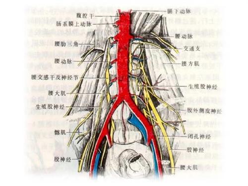 腹主动脉腔静脉瘘