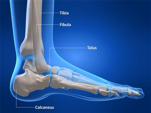 踝关节软骨损伤有哪些原因