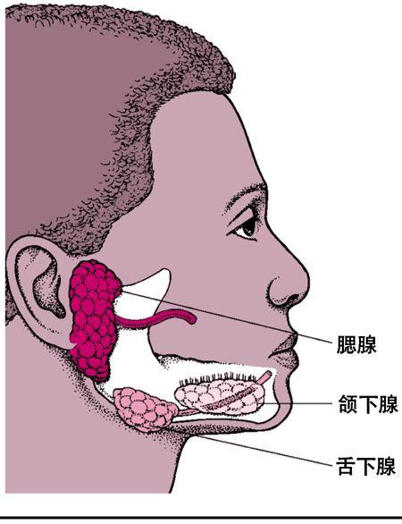 涎腺良性肥大口腔結核性潰瘍角化囊腫白塞氏病唇炎