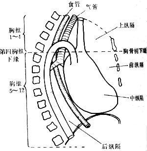 嗅覺障礙