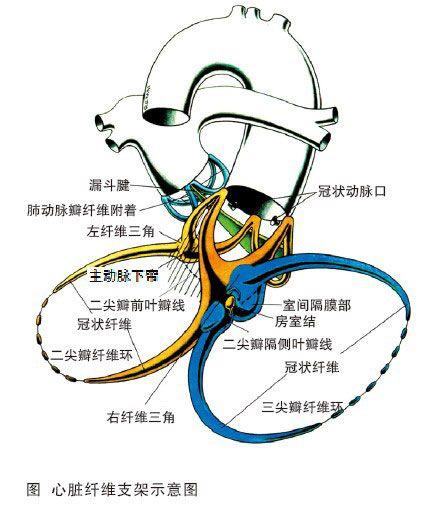 老年人病态窦房结综合征是什么病?