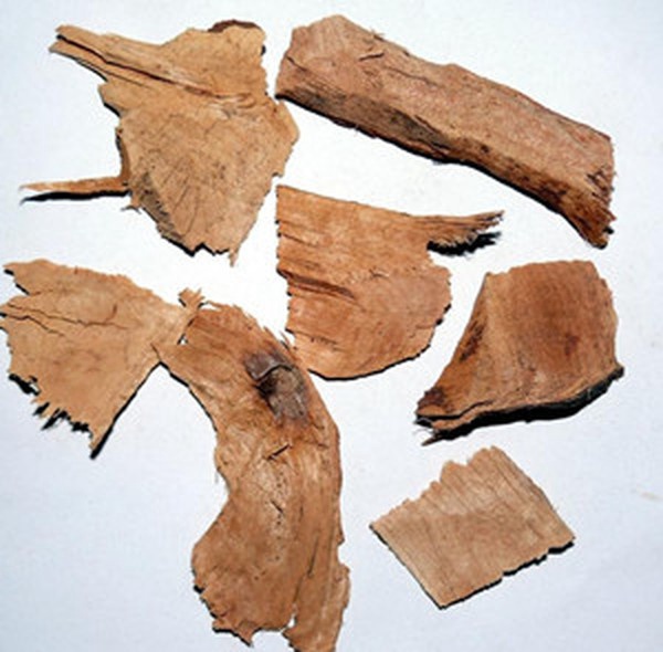 红茴香根皮别名图片